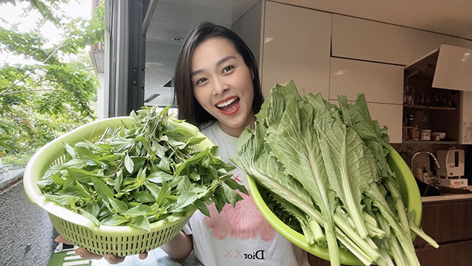 Nghệ sĩ chăm sóc vườn cây, trồng rau khi giãn cách